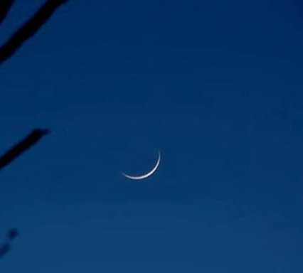 কে,এম আসাদুজ্জামান নূর